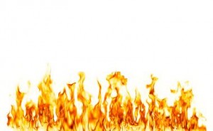 Me-Too Brands Ablaze