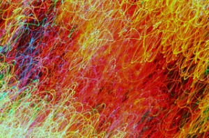 3199296759_e5130dc6c1_n