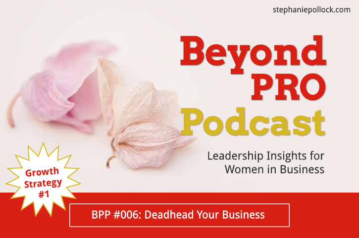 BPP #006: Deadhead your business