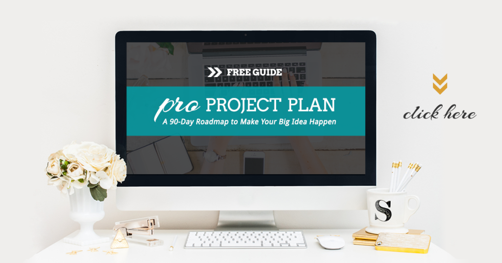 PRO Project Plan