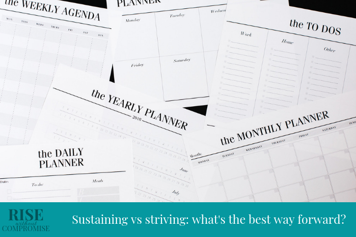 Sustaining vs striving: what’s the best way forward?